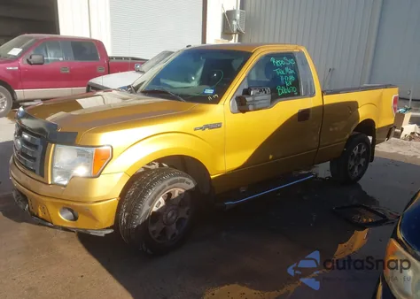 2009 Ford F-150 Stx/Xl/Xlt from USA, damaged, VIN 1FTRF12W59KB06670